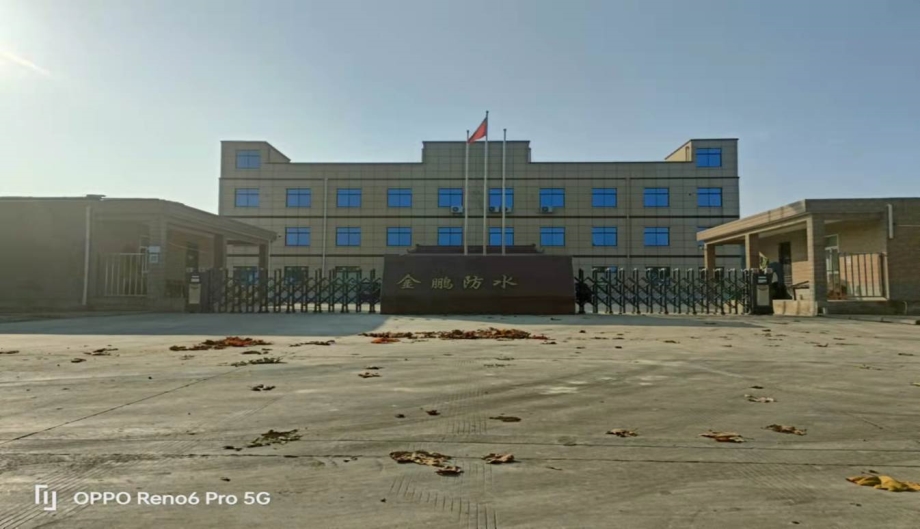 公司环境